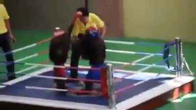 MUCA O LUTADOR