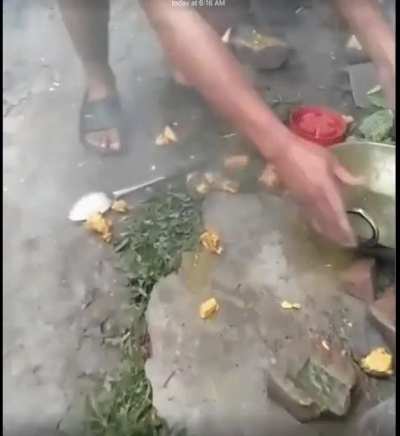 Не поел...