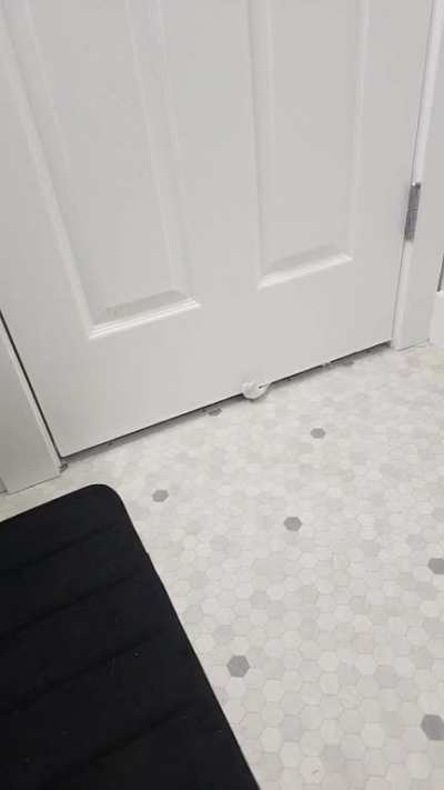No longer lonely in the bathroom