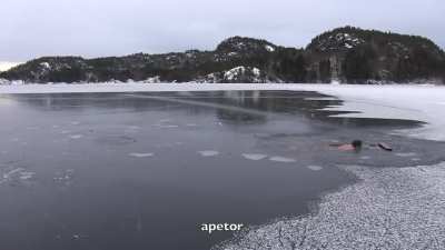 Импор<wbr>тный морж могёт в безуд<wbr>ержно<wbr>е веселье
