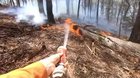 Australian firefighter saving a joey from the wildfires.