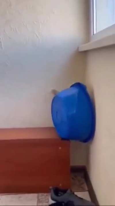 Sealed for eternity