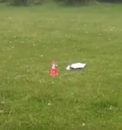 Thank goodness he saved the poor cat
