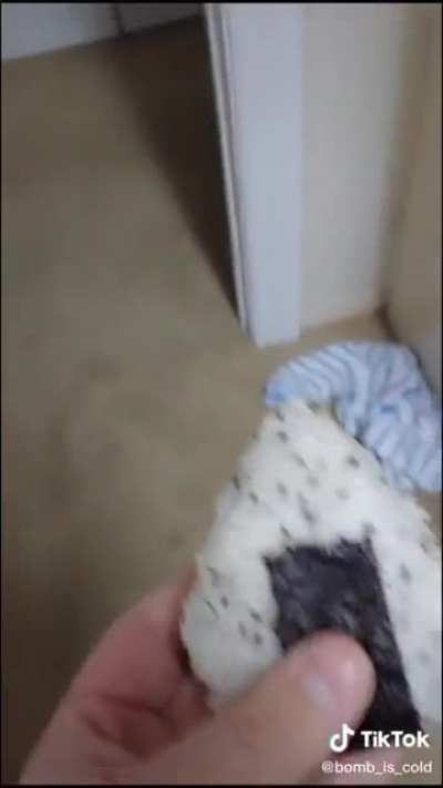 onigiri