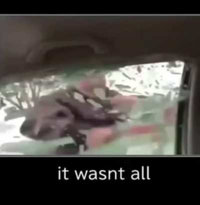 Was it all?