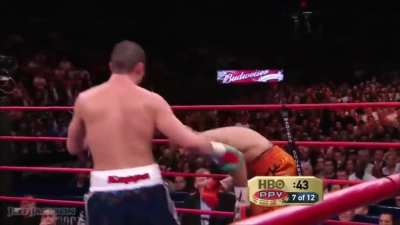 Roy Jones Jr vs Joe Calzaghe highlights
