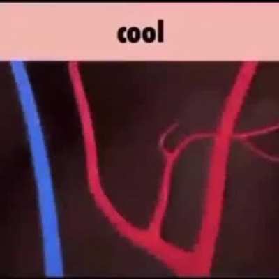 You are cool