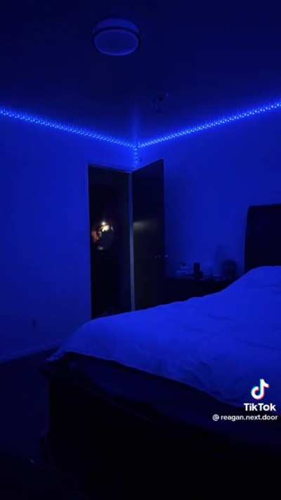 @reag<wbr>an.ne<wbr>xt.do<wbr>or