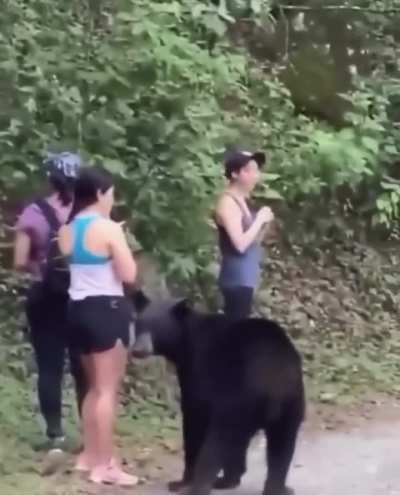 Maybe maybe maybe