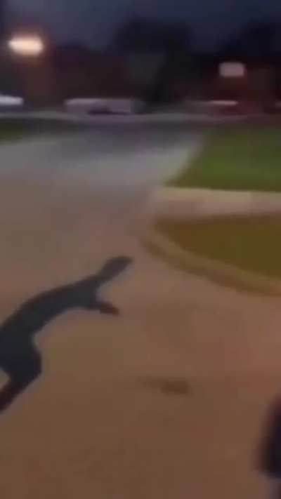 Parkour