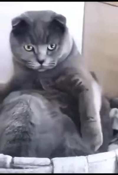 Кто здесь?