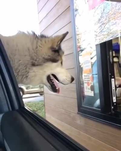 Sir, this is a Wendy’s.