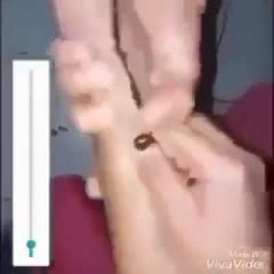 PuppiesWillies