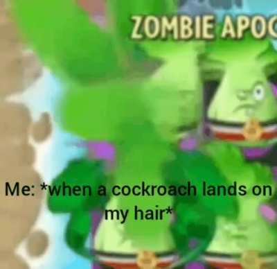 Where do they even come from