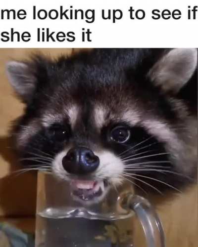 Ñom ñom