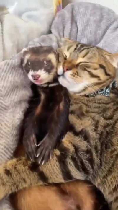 Warm and soft