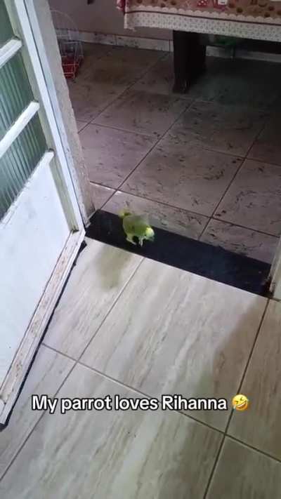 This Parrot singing his favorite song 