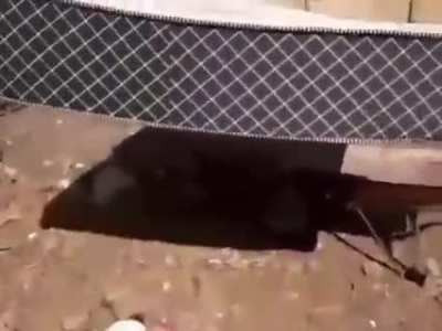 Flying mattress