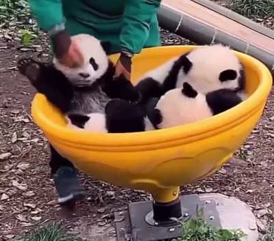 Merry Go Round