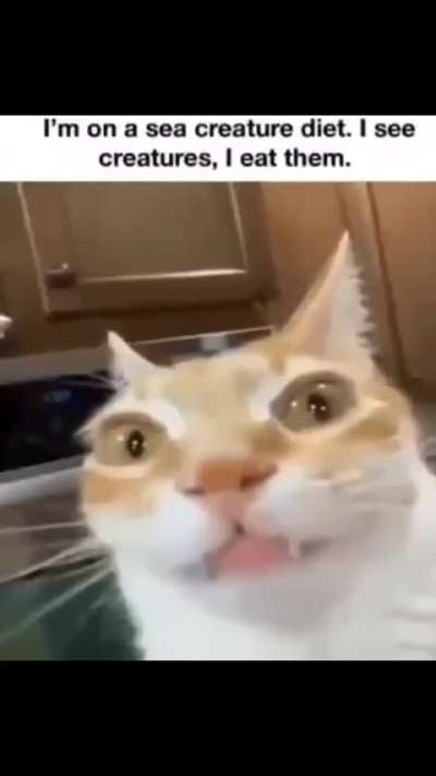 hnn