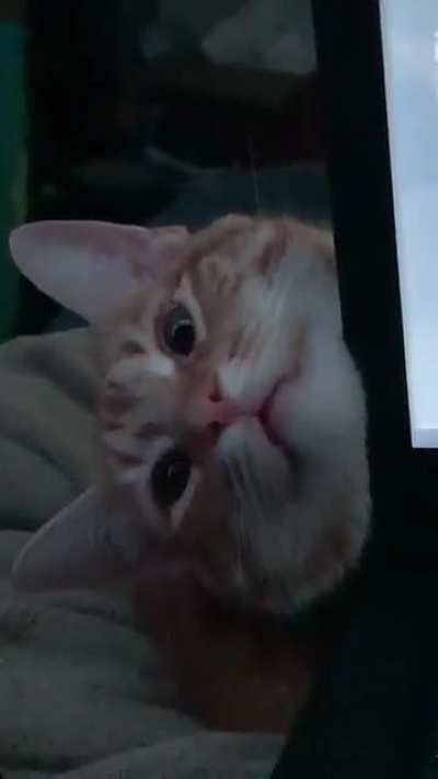 He was like this for fifteen minutes...