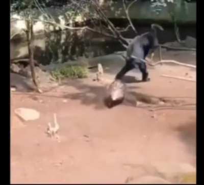 He knew he shouldnt touch that, but did it anyway
