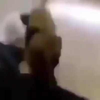 ñ