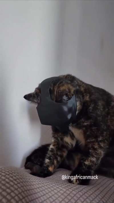 Maybe maybe maybe