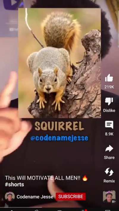 Blursed Motivation