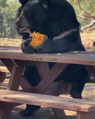 Taking your time on your lunch break like
