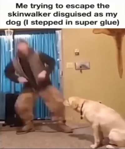 Glue