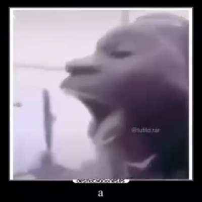 aaaaaaaaaaaaaaaaaaaa