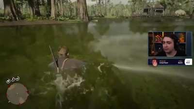 damn gators