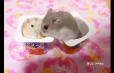 It's my crumble >_<