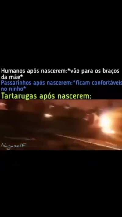 A verdadeira realidade...