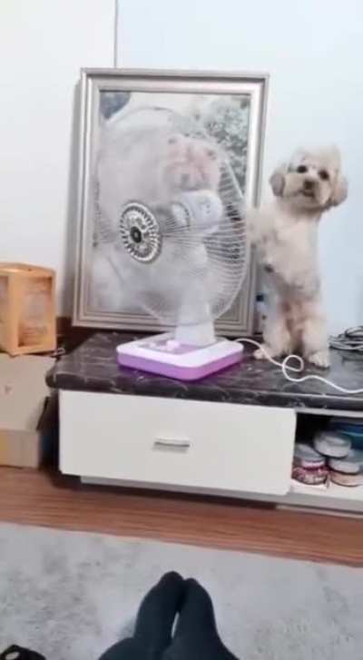 I'll do it myself then!