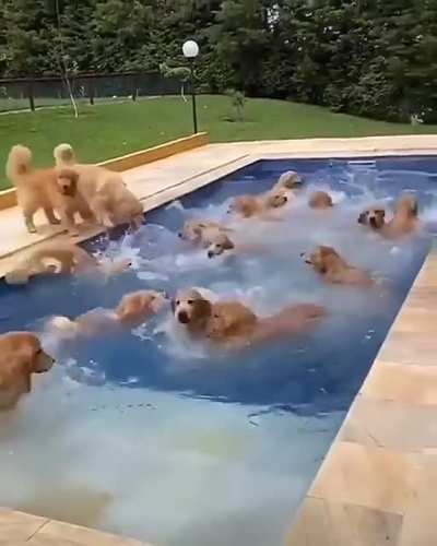 YEEEEES!!! CUTENESS EVERYWHERE!!!!