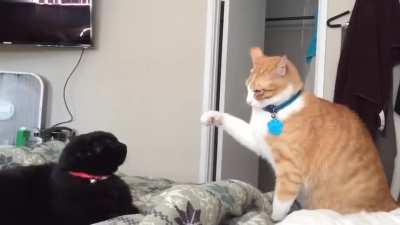 Slap