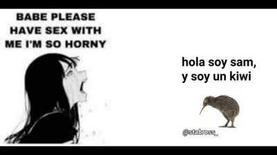 saluden a sam