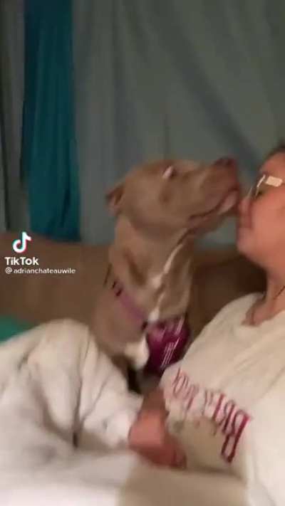 Bark at your dog and watch their reaction!