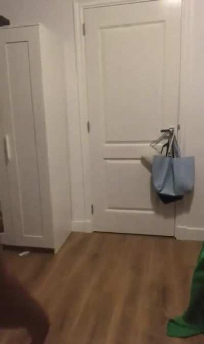 She Got More Ass Than Body