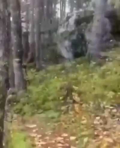 🔥 The earth breathes.A very unusual phenomenon from the Canadian forest.
