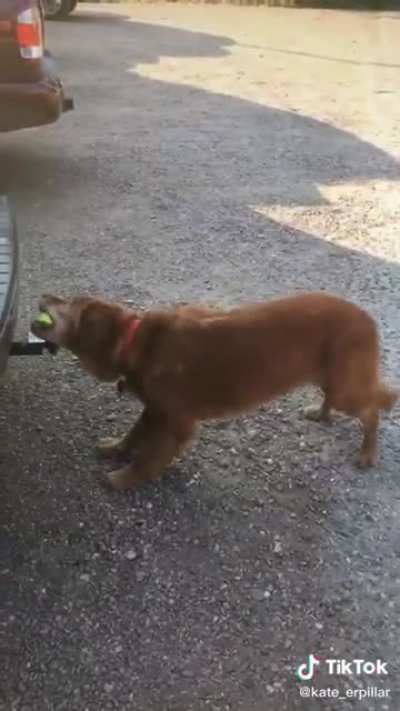 To get the ball