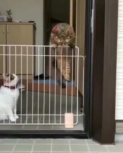 Maybe Maybe Maybe