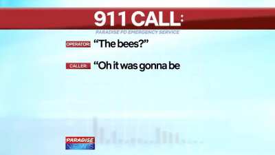 bees