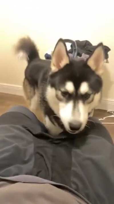 What’s this? Takes bite 🤣