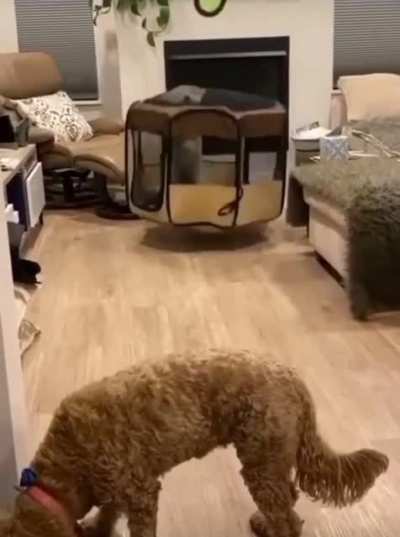 Bork