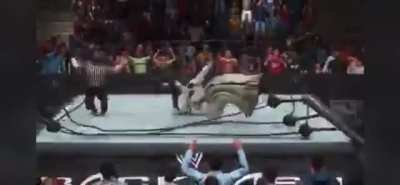 blursed_wrestling