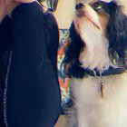 w/ Roo
