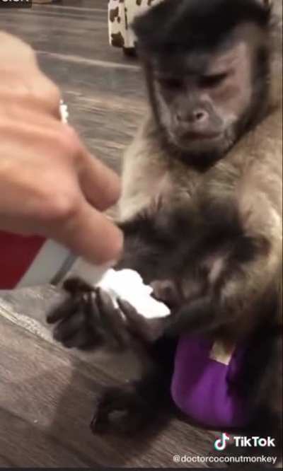 Cute Monkey...